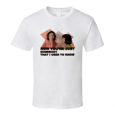 Gotye Somebody That I Used T Know Grammy T Shirt