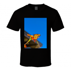 My Custom Product For Test T Shirt